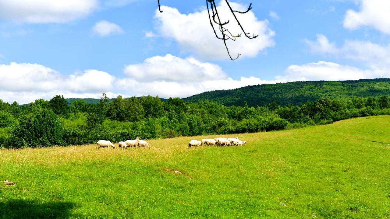 Natura Hause Rakovica Eksteriør billede