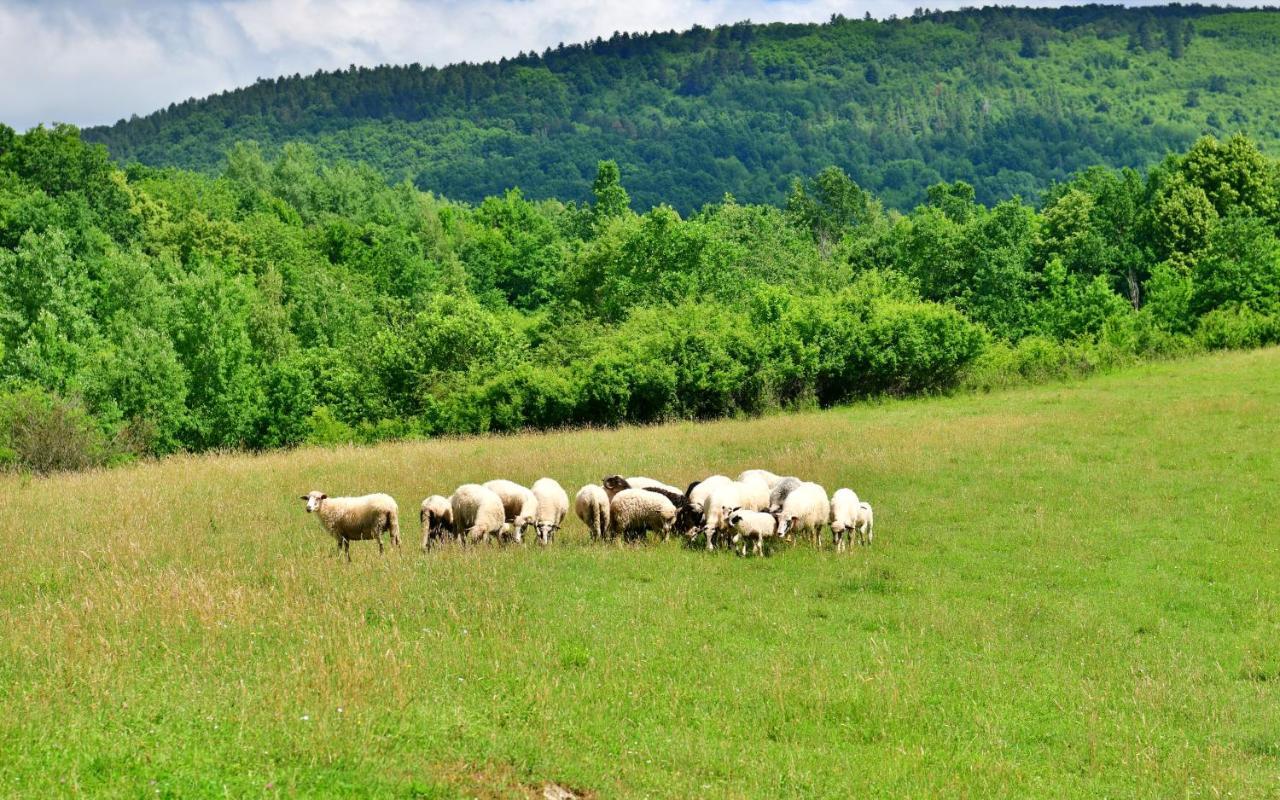 Natura Hause Rakovica Eksteriør billede